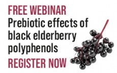 New scientific evidence on the prebiotic effects of black elderberry polyphenols