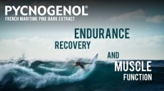 Pycnogenol® for Sport: eNOS and Beyond