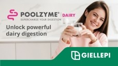 Advanced enzyme solution for dairy digestion