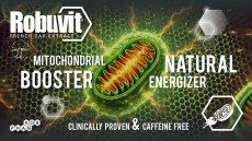 Robuvit®: A Standout Natural Energy Booster