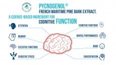 Pycnogenol® for Enhanced Cognitive Performance