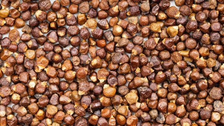 Vanizem is an extract of Aframomum melegueta, also known as Grains of Paradise, whose seeds are commonly used as spice in Ethiopian and West African cuisines and traditionally as digestive aid and aphrodisiac. © VvoeVale / Getty Images