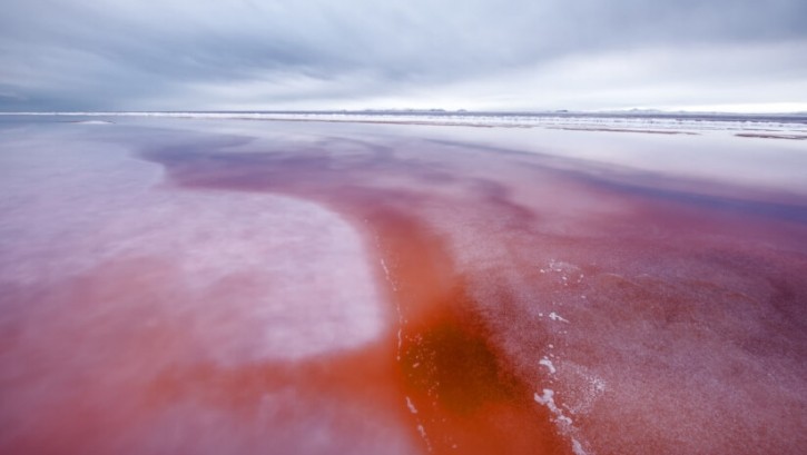 Trace pulls its water from the deep pink-hued, mineral-rich Gunnison Bay on the north end of the Great Salt Lake. © kojihirano / Getty Images