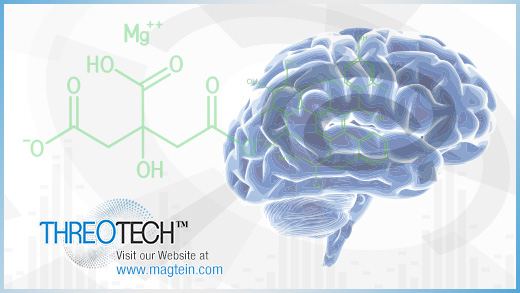 New Insights on the Role of Magnesium in Memory, Cognition & Sleep