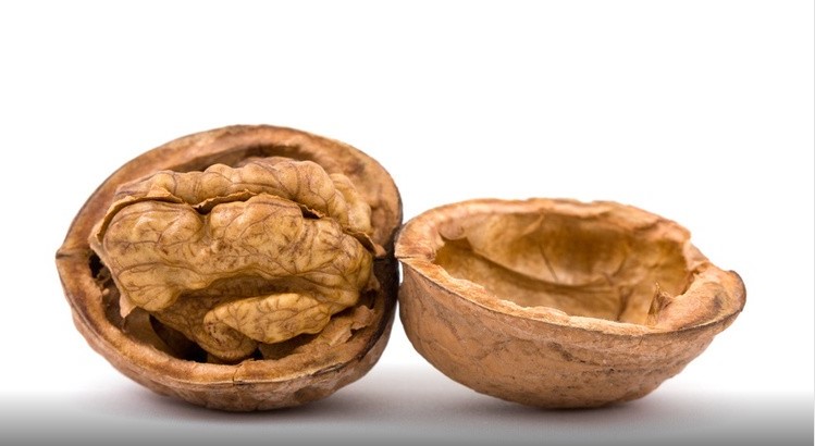 Researchers Demonstrate Walnuts Cholesterol Lowering Effect In Older Adults 